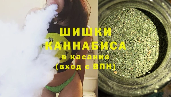 дживик Кострома